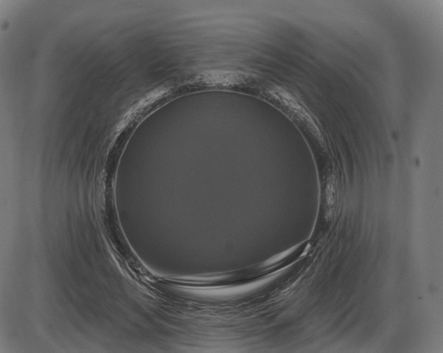 X0000085320492200703161509