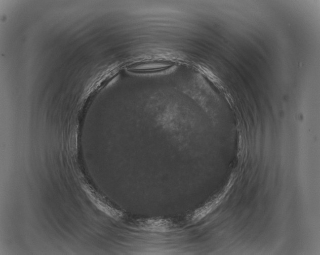 X0000085320493200703161509