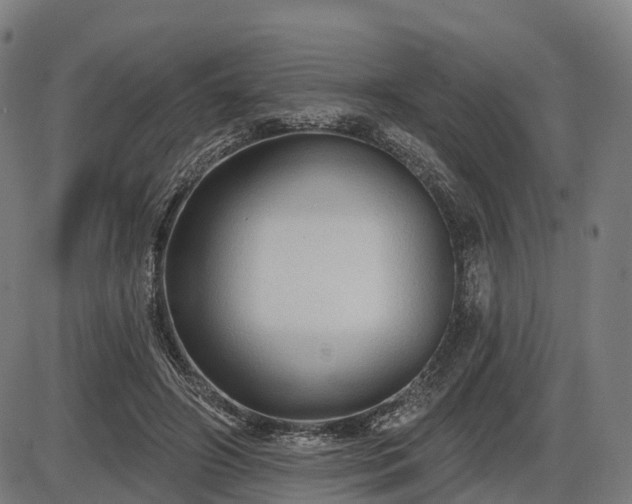 X0000085320498200703161509