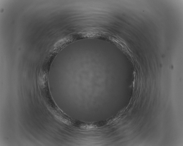 X0000085320503200703161509
