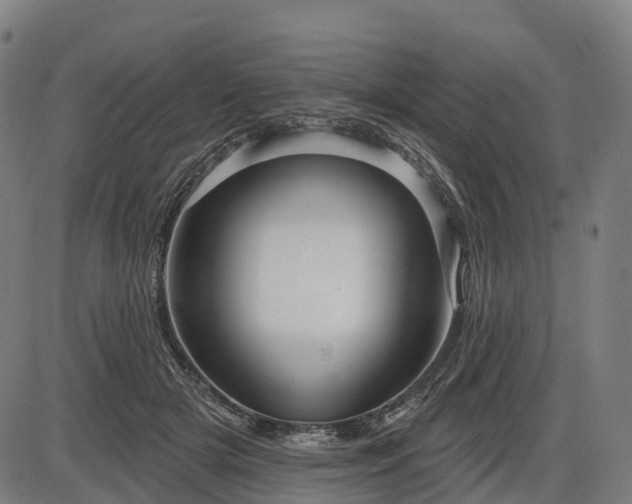 X0000085320505200703161509