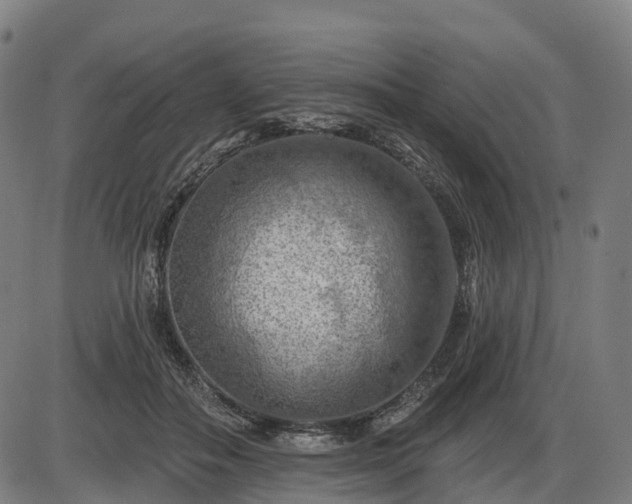 X0000085320506200703161509