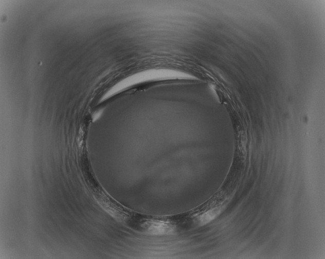 X0000085320507200703161509