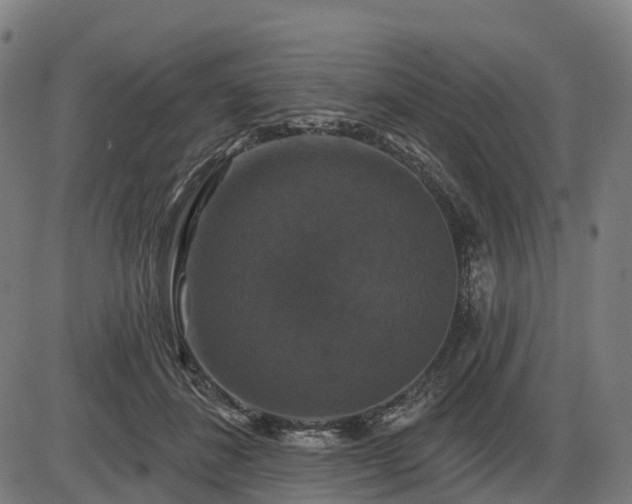 X0000085320508200703161509