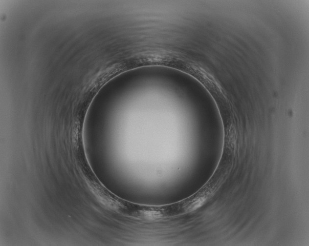 X0000085320509200703161509