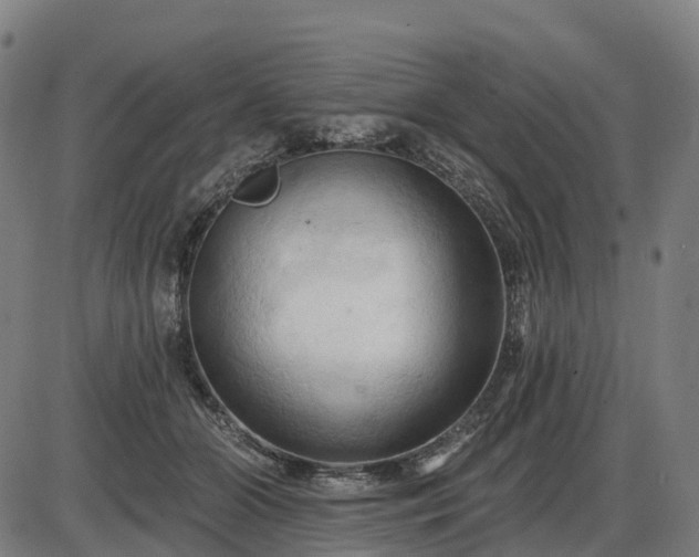 X0000085320510200703161509