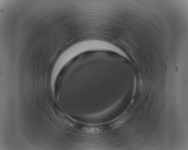 X0000085320512200703161509