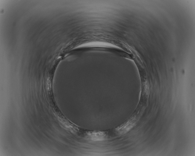 X0000085320517200703161509