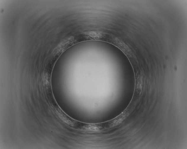 X0000085320518200703161509
