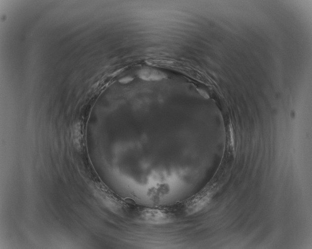 X0000085320519200703161509