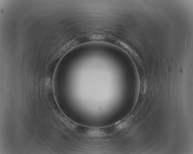 X0000085320521200703161509