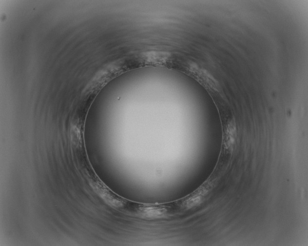 X0000085320522200703161509