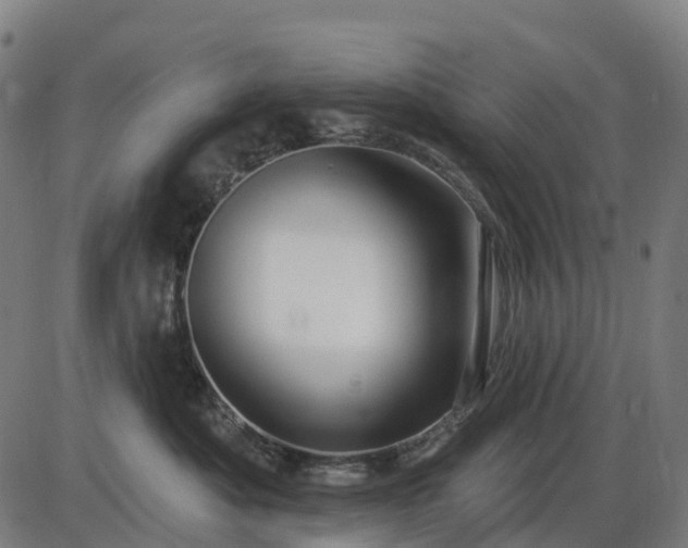 X0000085320525200703161509