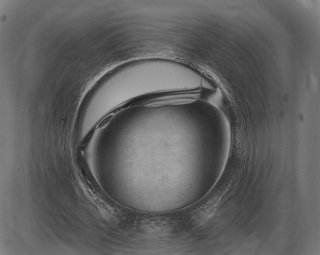 X0000085320532200703161508