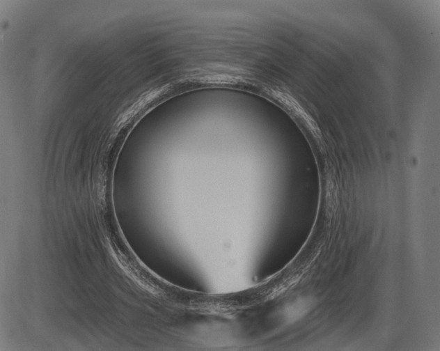 X0000085320533200703161508