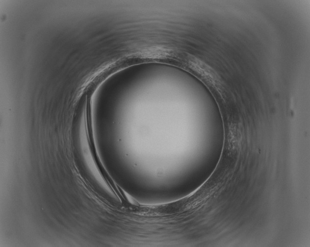X0000085320535200703161508