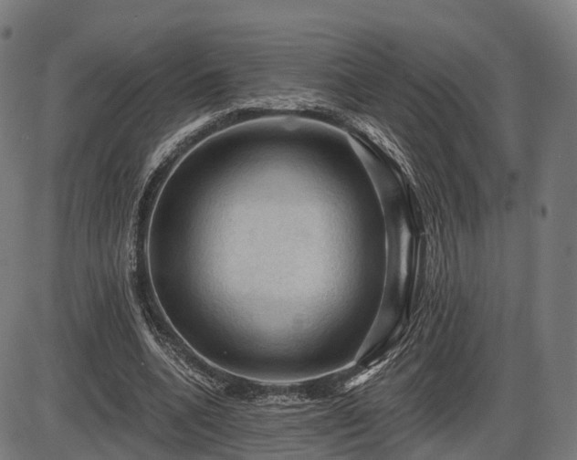 X0000085320536200703161508