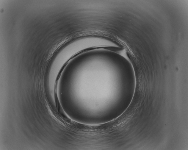 X0000085320538200703161508