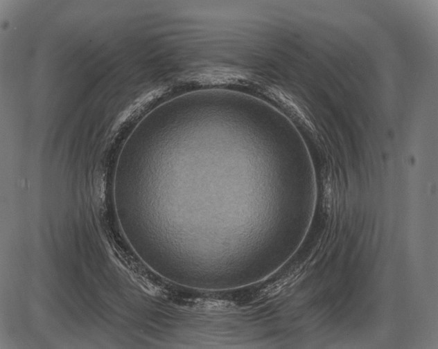 X0000085320539200703161508