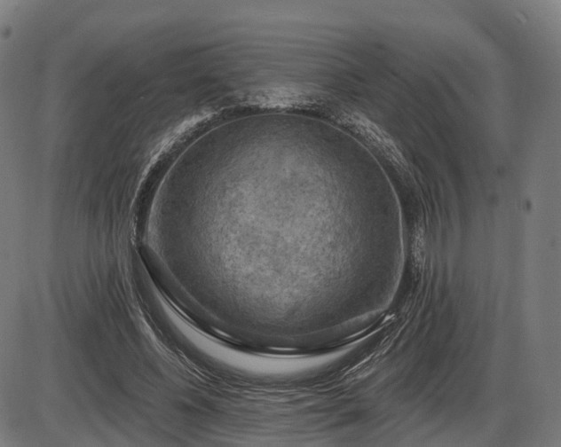 X0000085320540200703161508