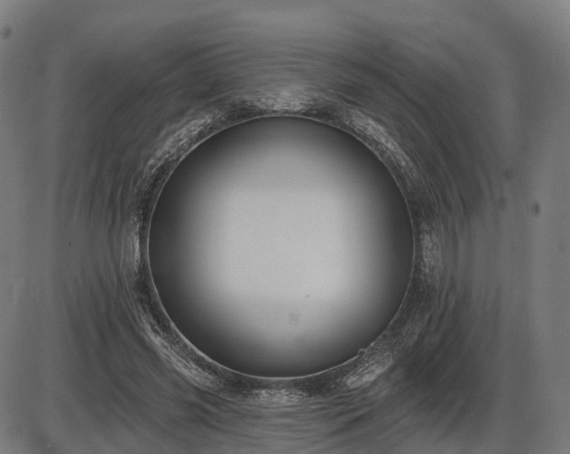 X0000085320541200703161508