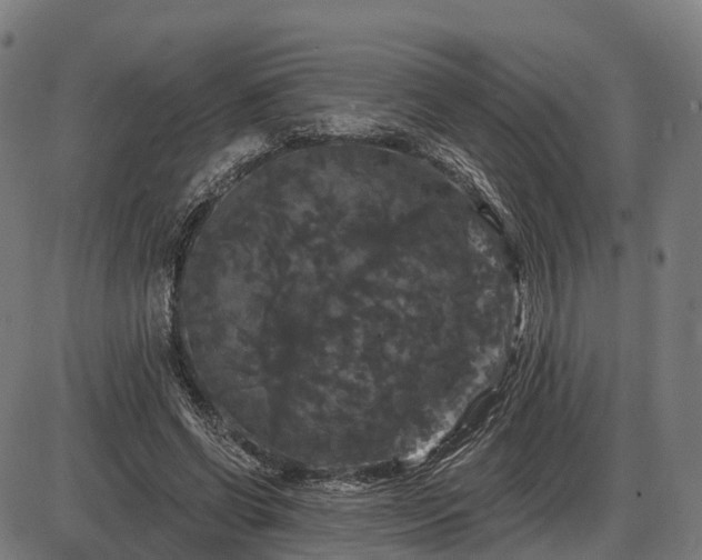 X0000085320542200703161508