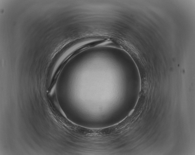 X0000085320544200703161508