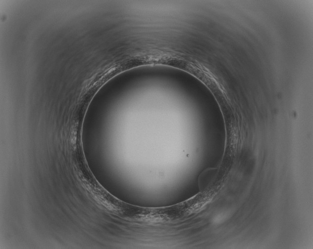 X0000085320545200703161508