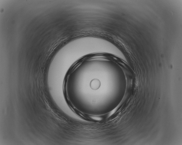 X0000085320546200703161508