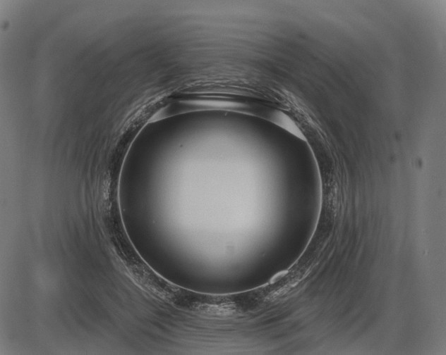 X0000085320548200703161508