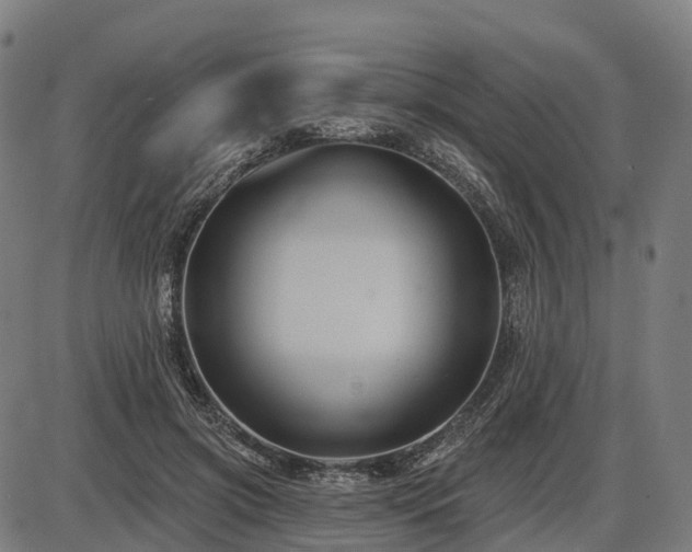 X0000085320549200703161508