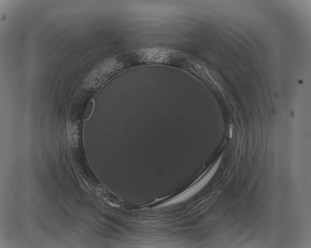 X0000085320551200703161508