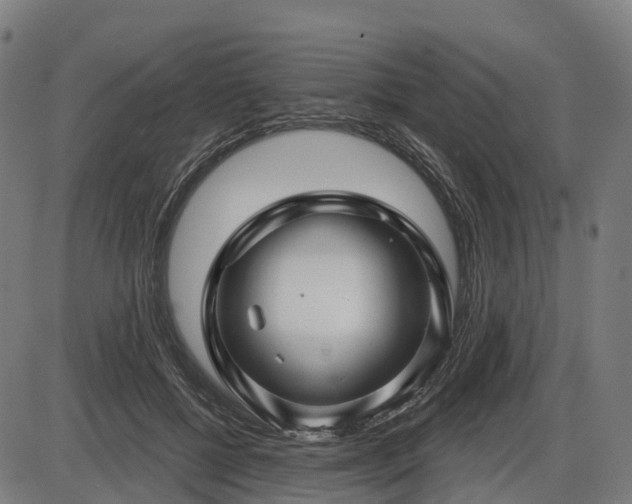 X0000085320552200703161508