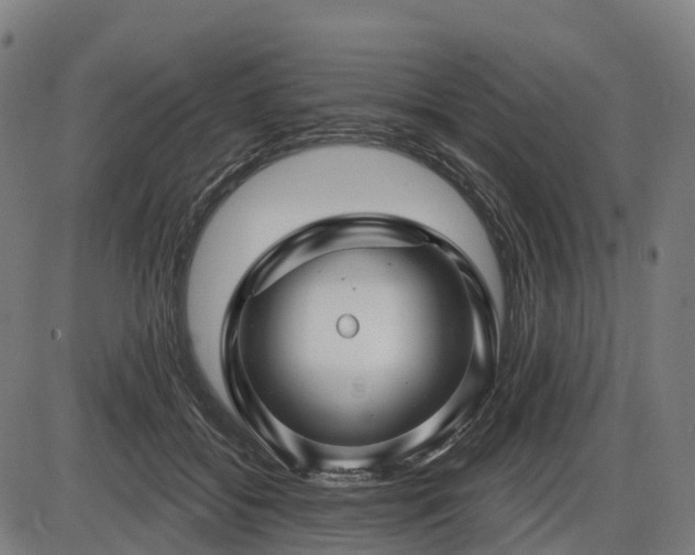 X0000085320556200703161508