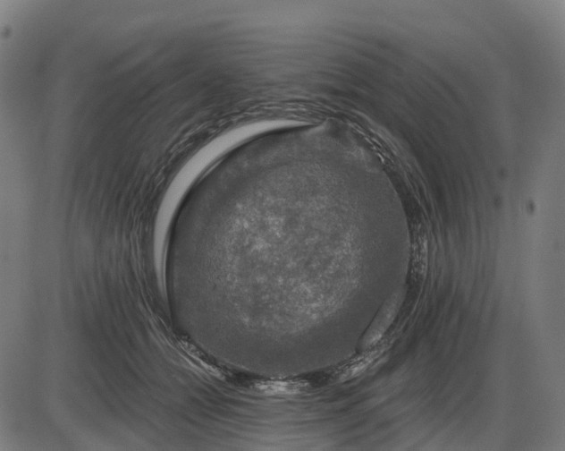 X0000085320558200703161508