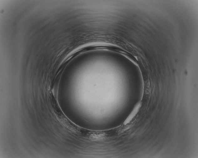 X0000085320560200703161508