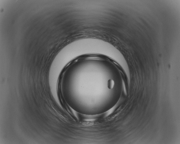 X0000085320562200703161508