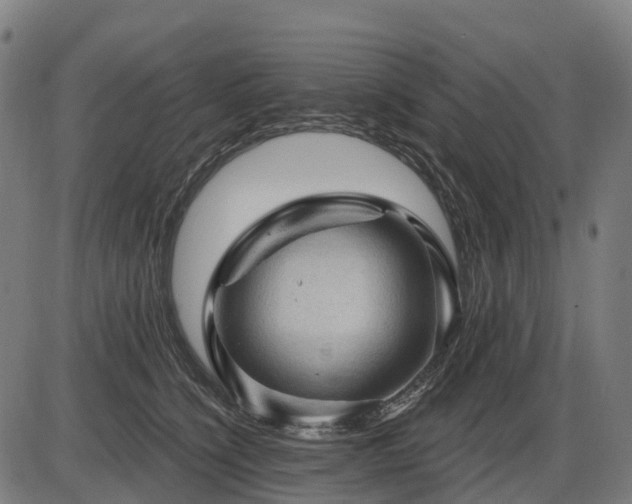 X0000085320564200703161508