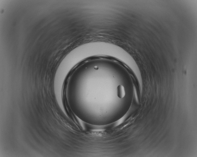 X0000085320566200703161508
