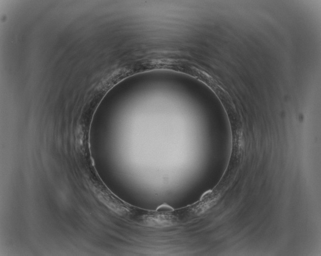 X0000085320567200703161508