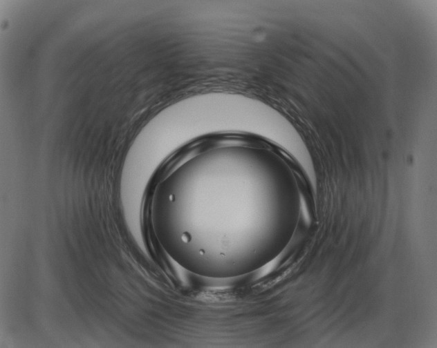 X0000085320568200703161508
