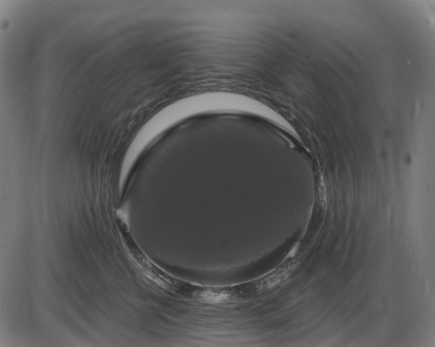 X0000085320570200703161509