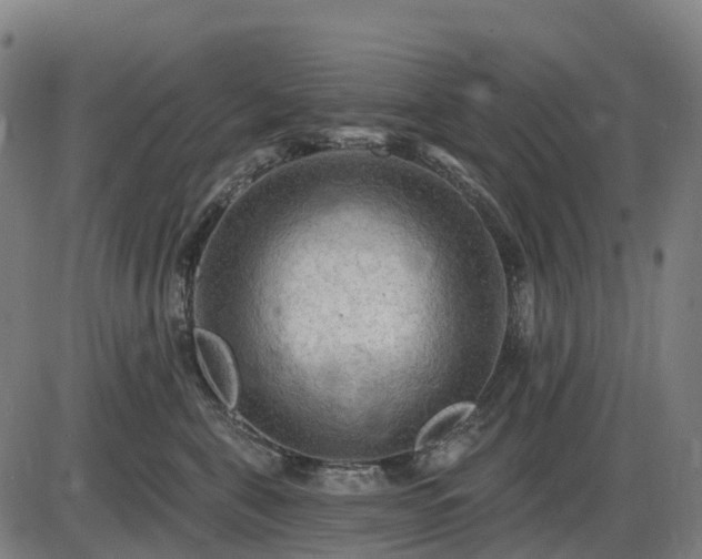 X0000085320571200703161509