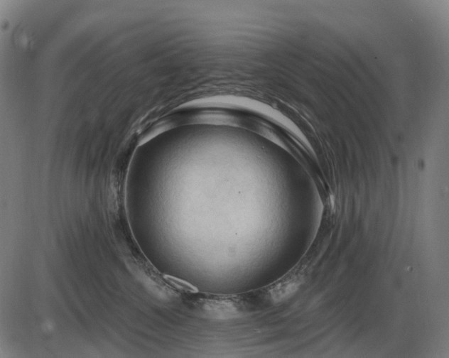 X0000085320572200703161509
