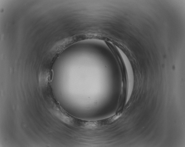 X0000085320574200703161509