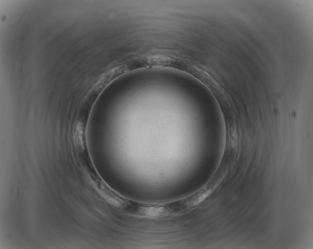 X0000085320575200703161509