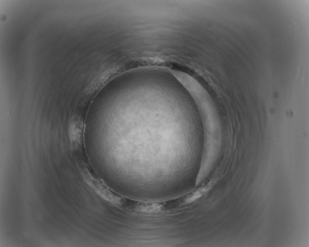 X0000085320576200703161509