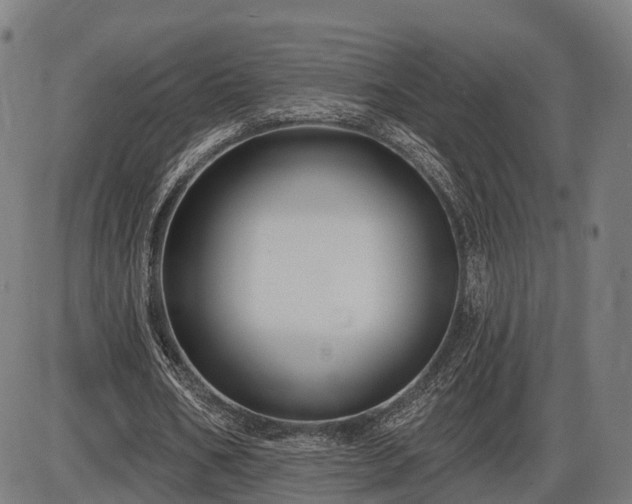 X0000085320578200703161508