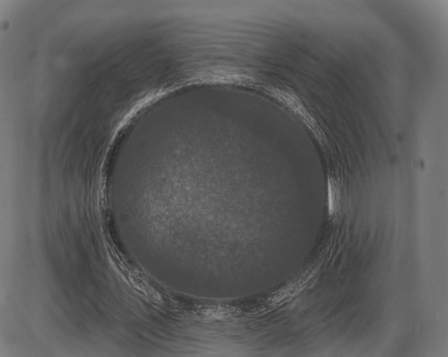 X0000085320579200703161508