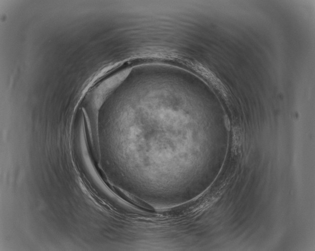 X0000085320580200703161508